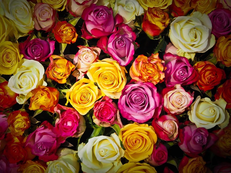 Floral Workshop