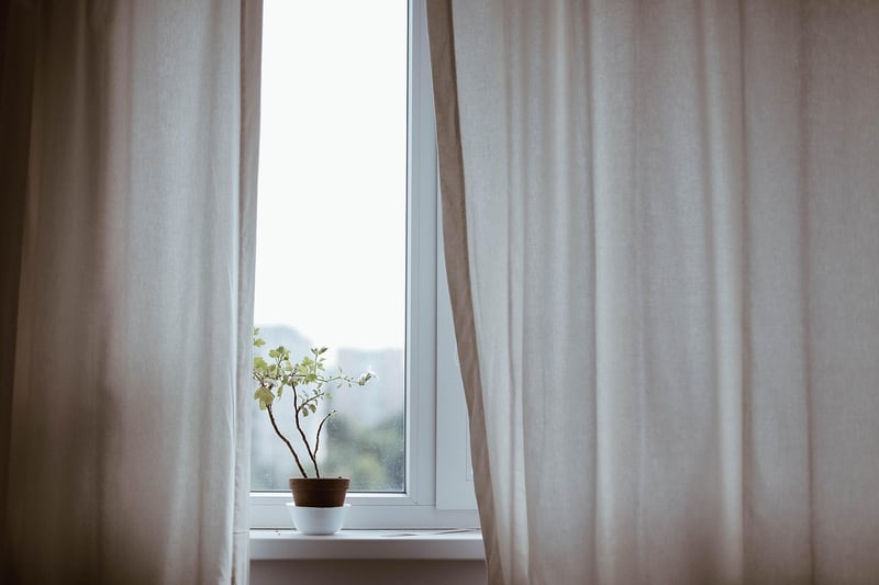 Indoor Plants